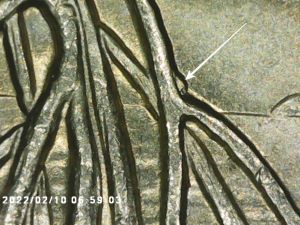 2000-P-Washington-Quarter-Doubling